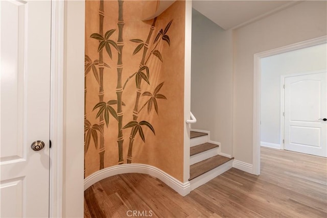 staircase with hardwood / wood-style floors