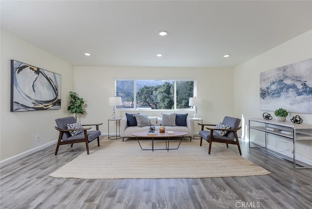 living room with wood-type flooring