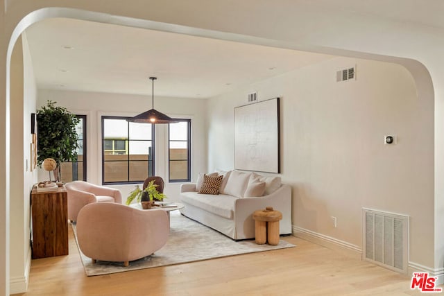 living room featuring light wood-type flooring