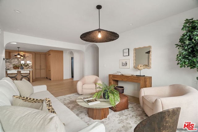 living room featuring light hardwood / wood-style flooring