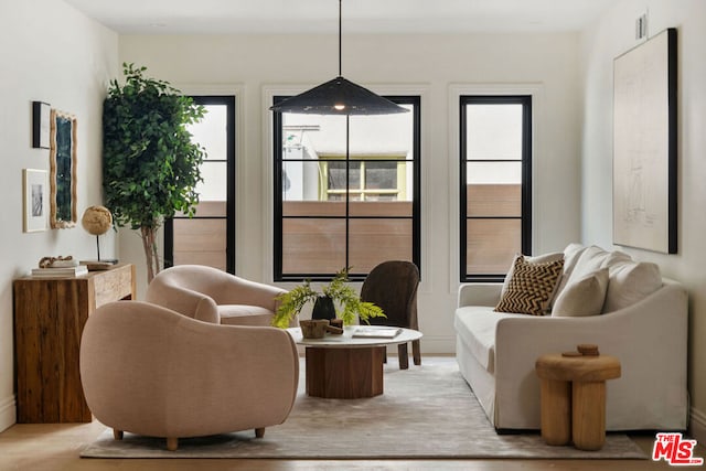 living room with plenty of natural light