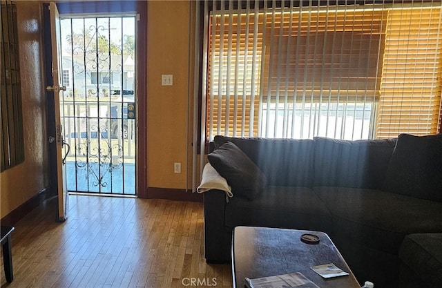 living room with hardwood / wood-style flooring