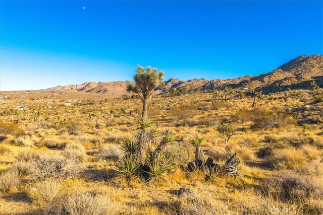 property view of mountains