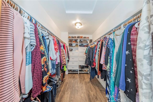 walk in closet featuring wood finished floors