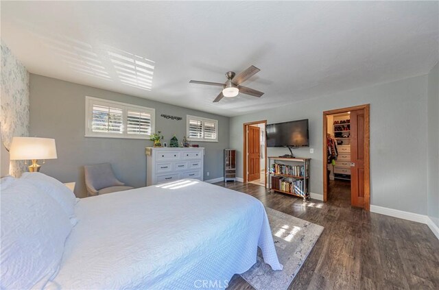 bedroom featuring a spacious closet, ceiling fan, a closet, and dark wood-type flooring