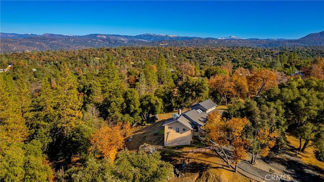 drone / aerial view featuring a mountain view and a forest view