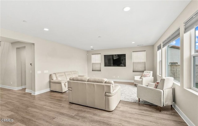 living room with light wood-type flooring and a healthy amount of sunlight