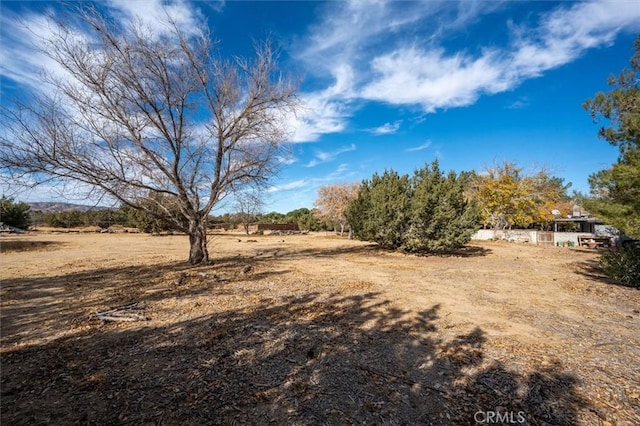 view of yard with a rural view