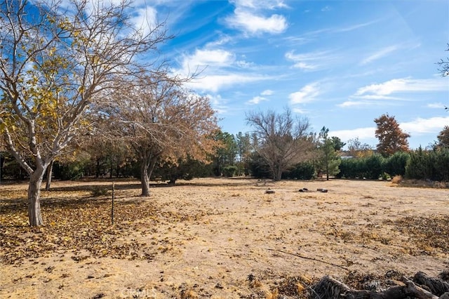 view of yard with a rural view