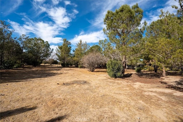 view of yard with a rural view