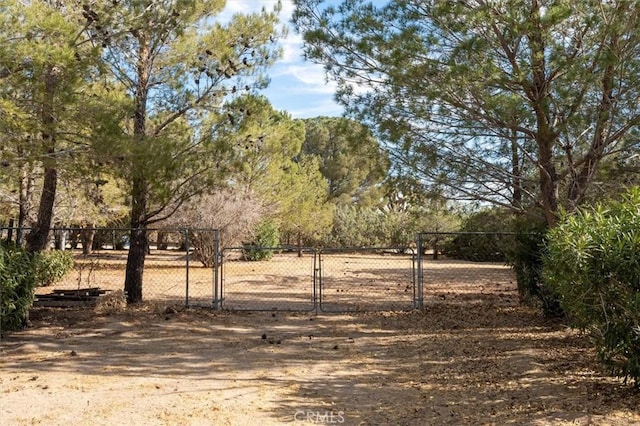 view of yard with a rural view