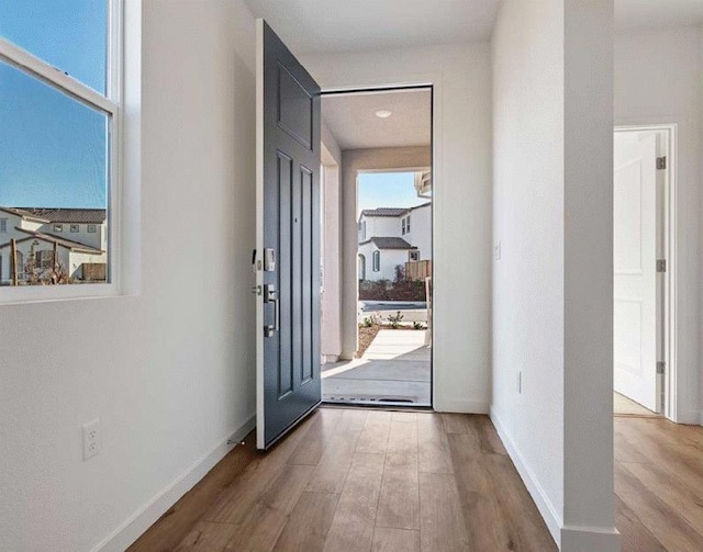 entryway featuring a wealth of natural light and hardwood / wood-style flooring