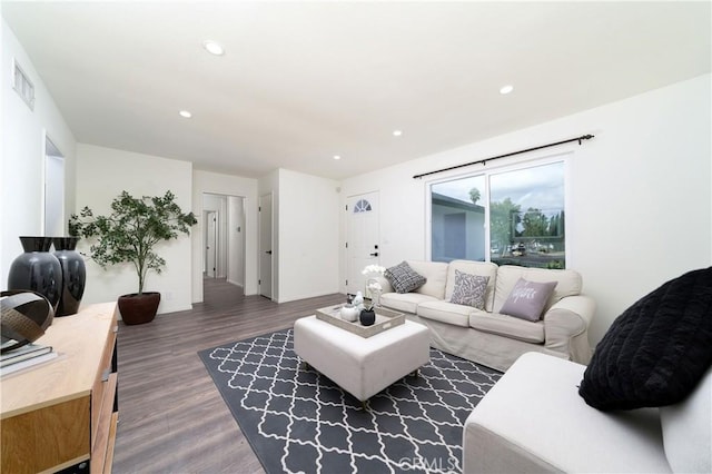 living room with dark hardwood / wood-style flooring