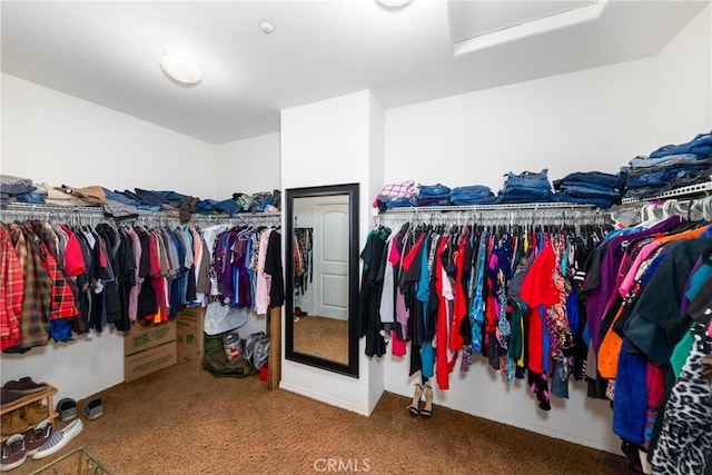 spacious closet featuring carpet flooring