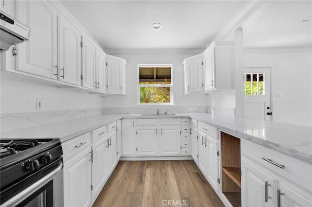 kitchen with sink, light stone countertops, ornamental molding, light hardwood / wood-style floors, and white cabinetry