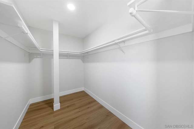 spacious closet featuring hardwood / wood-style flooring