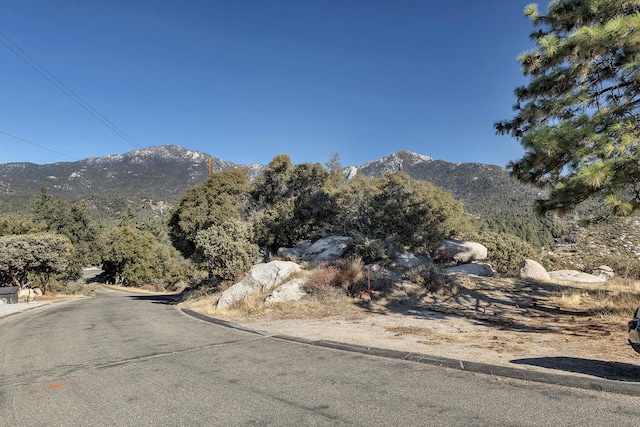 Listing photo 3 for 0 Doubleview Dr, Idyllwild CA 92549