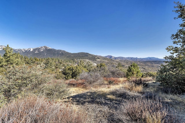 0 Doubleview Dr, Idyllwild CA, 92549 land for sale