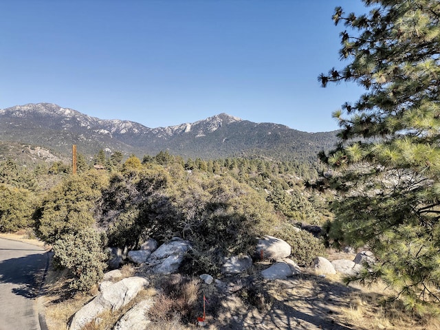 Listing photo 2 for 0 Doubleview Dr, Idyllwild CA 92549