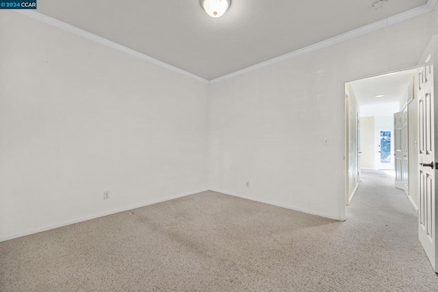 carpeted empty room featuring crown molding