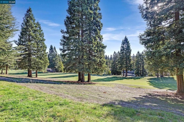 view of property's community with a lawn