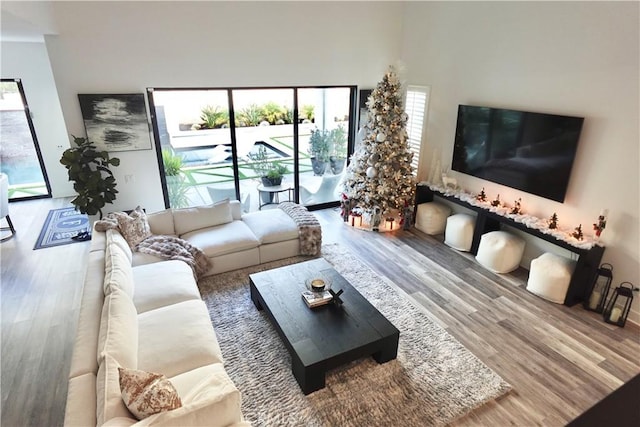 living room with hardwood / wood-style floors and a high ceiling