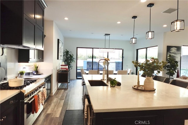 kitchen with a large island with sink, stainless steel range, and plenty of natural light