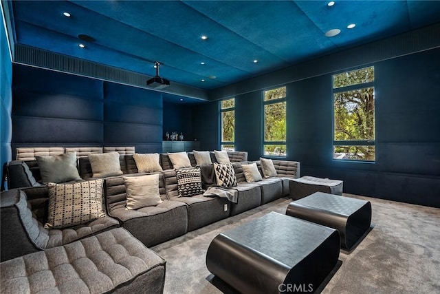 cinema room with carpet and a tray ceiling