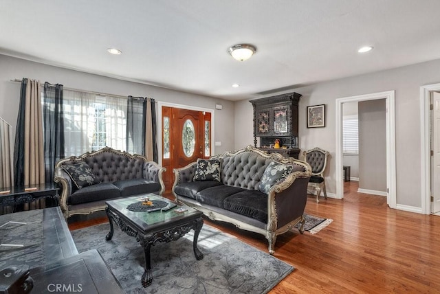 living room with hardwood / wood-style flooring