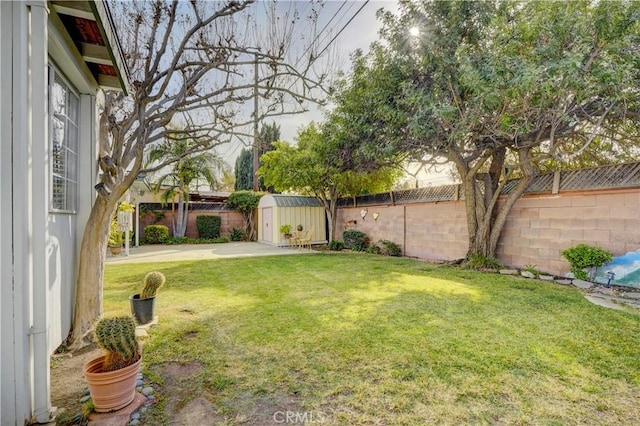 view of yard featuring a patio and a storage shed