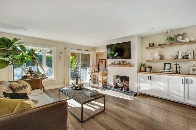 living room with light hardwood / wood-style floors