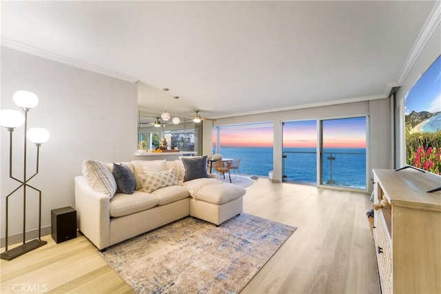 31561 Table Rock Dr Unit 211, Laguna Beach, CA 92651 - living room featuring light wood-style flooring and ornamental molding