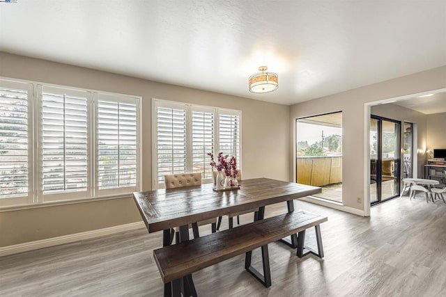 dining area with hardwood / wood-style floors and a healthy amount of sunlight