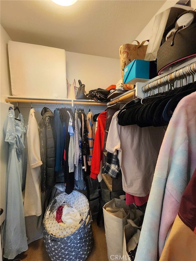 spacious closet with carpet