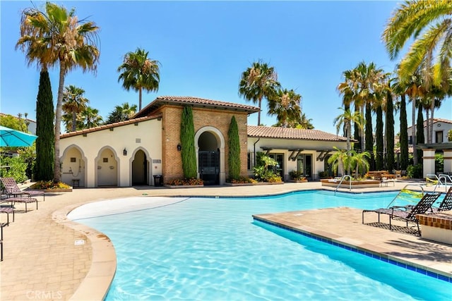 view of swimming pool with a patio