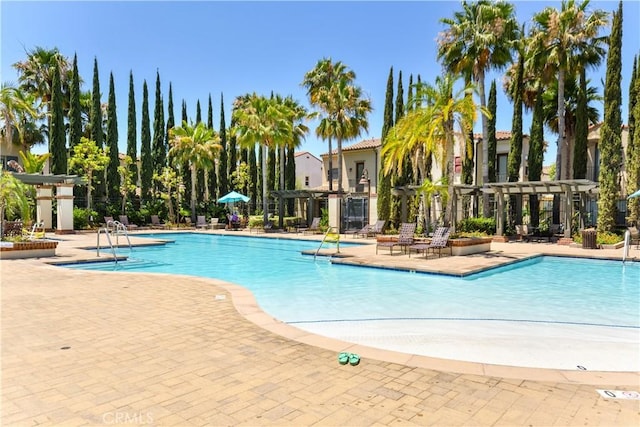 view of swimming pool featuring a pergola and a patio