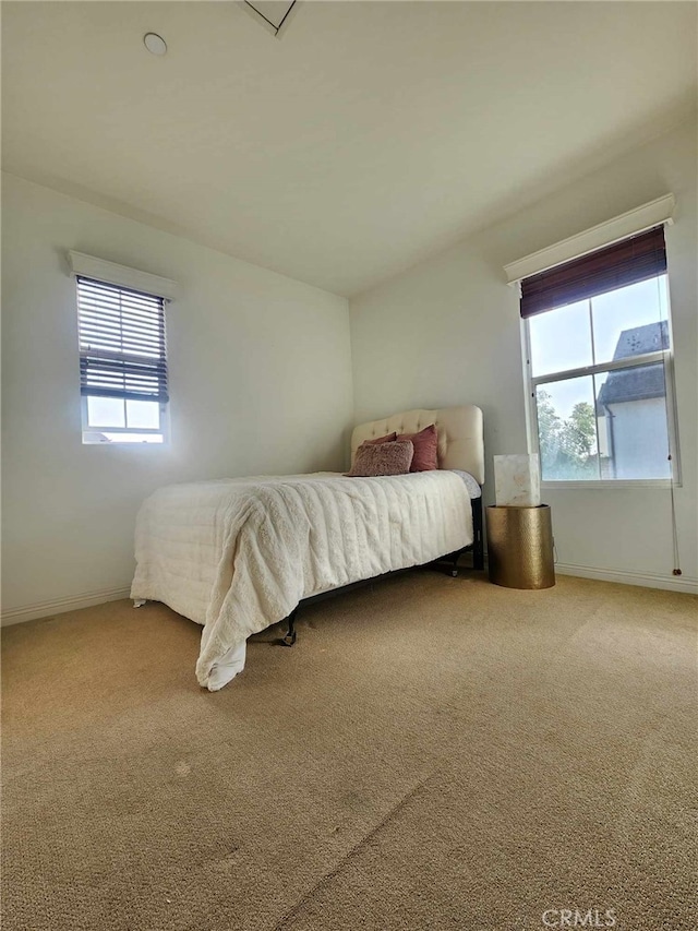 carpeted bedroom with multiple windows