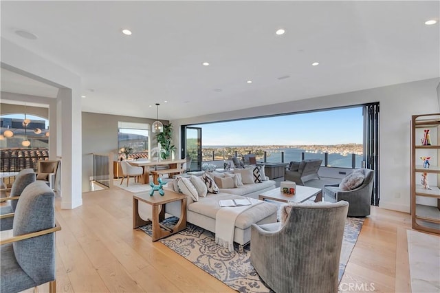 living room featuring light hardwood / wood-style flooring and a wealth of natural light