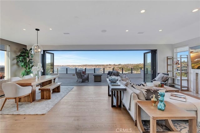 living room with a wealth of natural light and light hardwood / wood-style floors