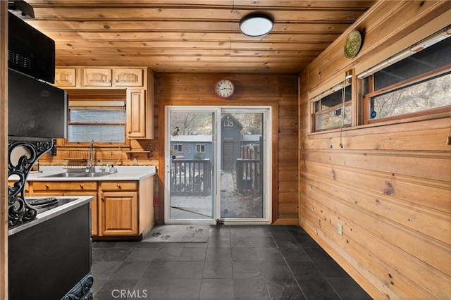 kitchen with sink, a healthy amount of sunlight, and wood walls