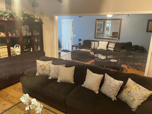 living room with wood-type flooring