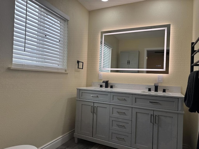 bathroom featuring a wealth of natural light and vanity