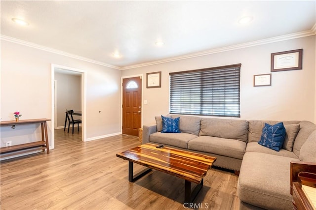 living room with crown molding and light hardwood / wood-style flooring