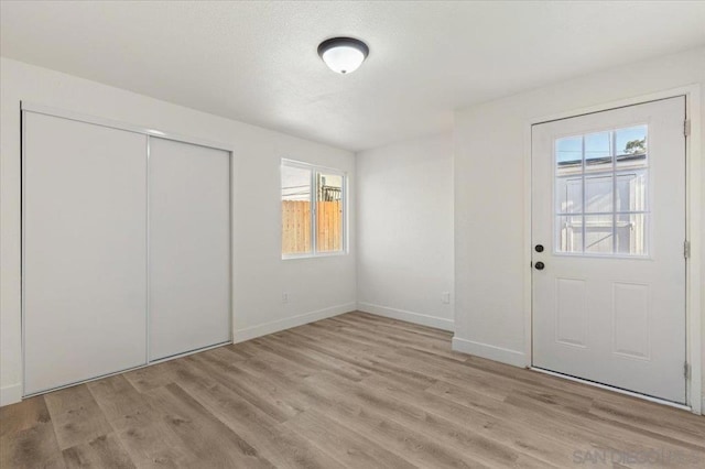 entryway with light hardwood / wood-style flooring and plenty of natural light