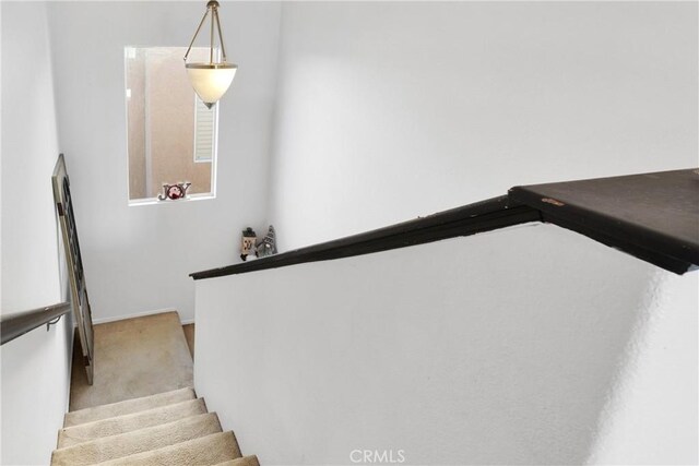 stairway with carpet flooring