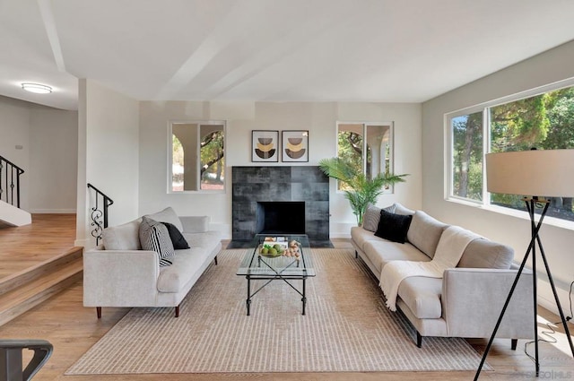 living room featuring a fireplace and light hardwood / wood-style floors