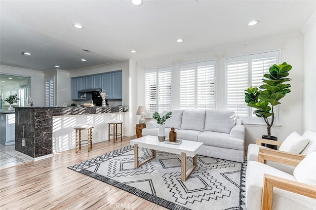 living room featuring light wood-type flooring and crown molding