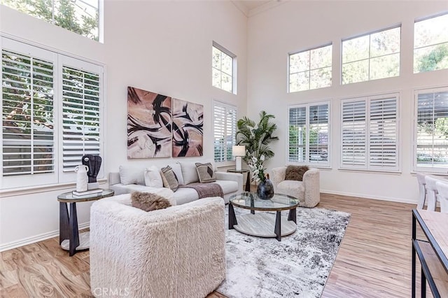 living room with crown molding, light hardwood / wood-style floors, and a high ceiling