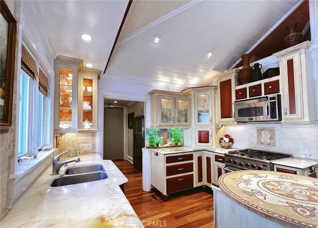 kitchen featuring lofted ceiling, sink, stainless steel appliances, tasteful backsplash, and dark hardwood / wood-style flooring