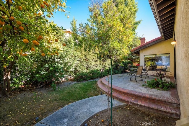 view of yard with a patio area